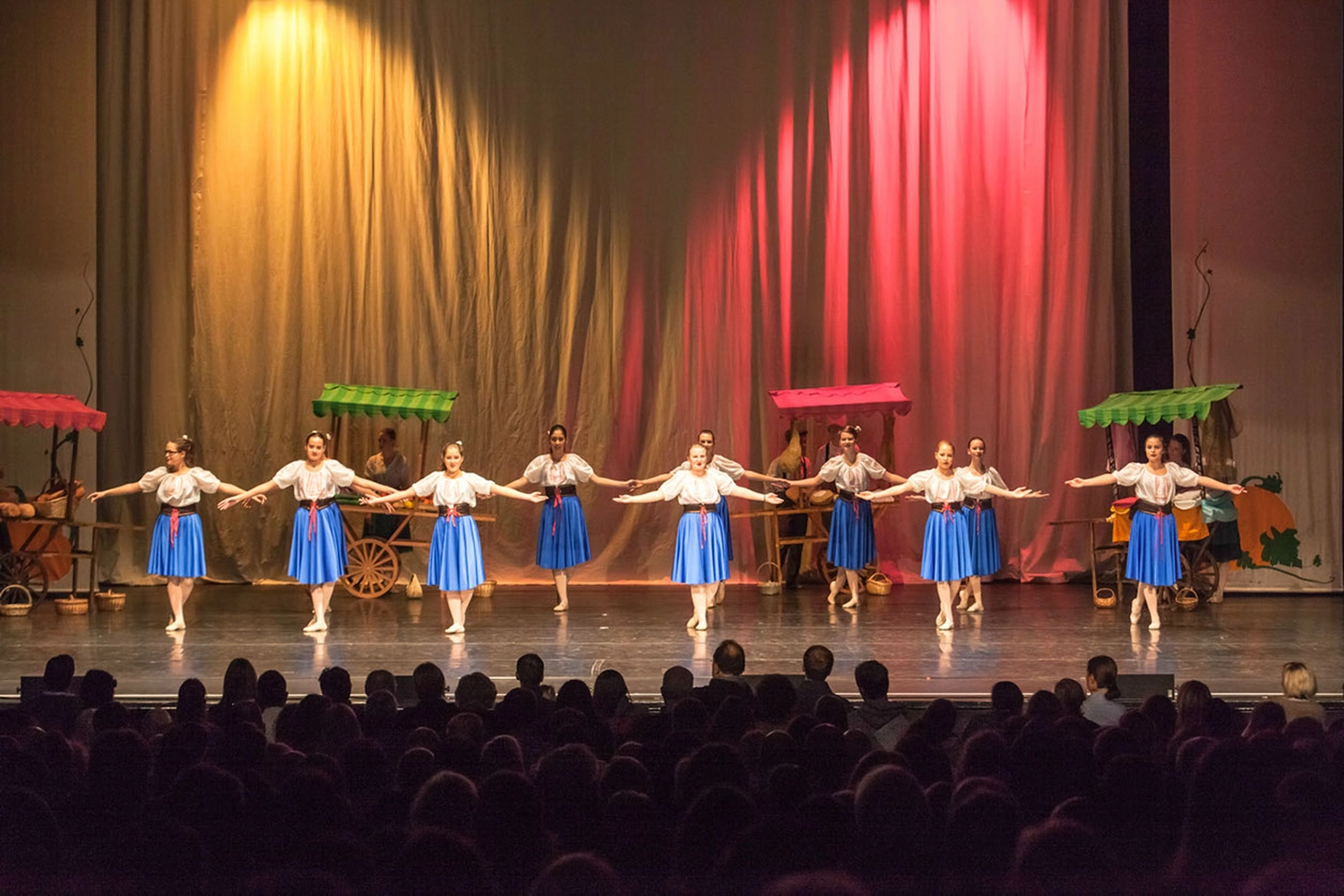 The Park - Ballettschule Neckarau - Mädchen tanzt