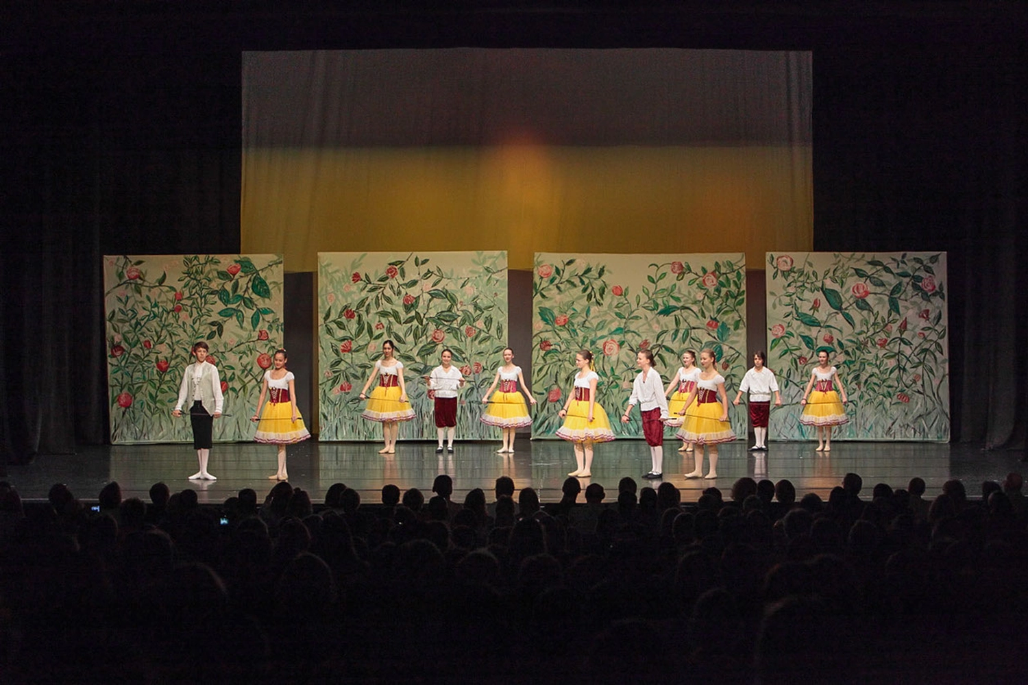 The Park - Ballettschule Neckarau - Mädchen tanzt